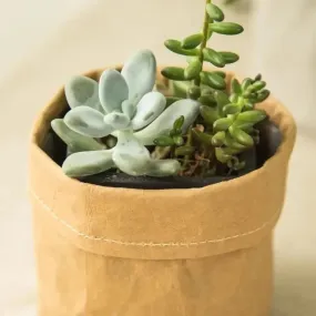 Brown Waterproof Pot Case |Plant Not Included