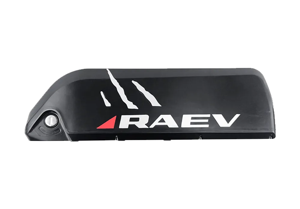 RAEV 48V 13Ah Battery