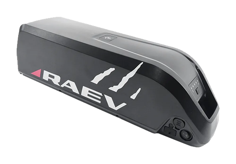 RAEV 48V 13Ah Battery