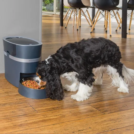 Smart Feed Automatic Dog and Cat Feeder