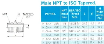 Stainless Steel NPT/BSP 3000lbs Crossover Hex Nipples